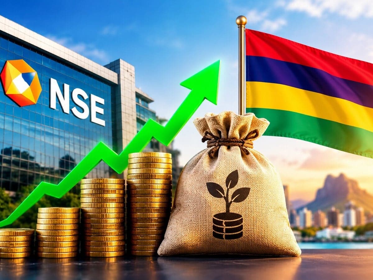 ₹59 करोड़ लगाए थे, अब सिर्फ 20% हिस्सेदारी से ₹295 करोड़ तक! जानिए NSE IPO की दिलचस्प कहानी